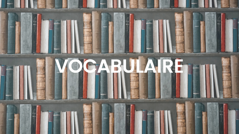 Read more about the article Vocabulaire troisième partie